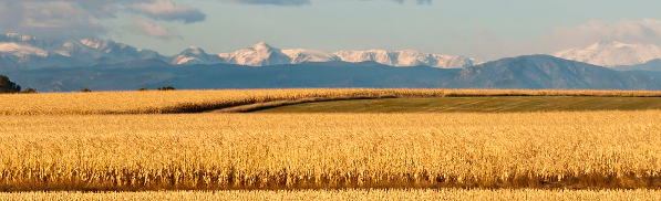 Community Inclusion in Colorado
